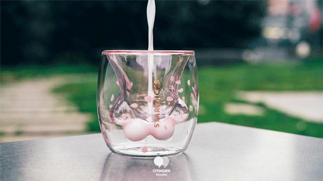 猫是当代年轻人的精神寄托,为什么说猫是最完美的猎手