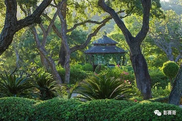 尼康肖像摄影大赛获奖作品欣赏,2021尼康获奖摄影作品欣赏