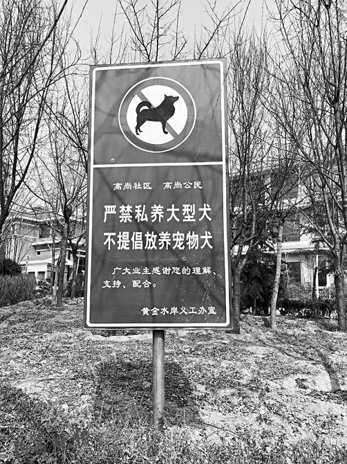 运城圣惠桥附近可以养狗的房子,运城不落户可以买房子吗