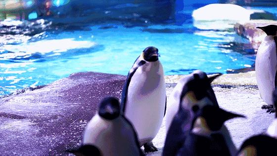 3月终于要放晴啦！出门赏花看剧，这里有攻略