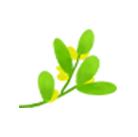 春暖花开皮肤过敏是什么原因,春暖花开防止皮肤过敏