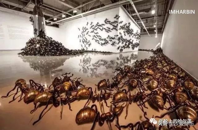 哈尔滨杨马架子前世今生,尘封的往事完整视频