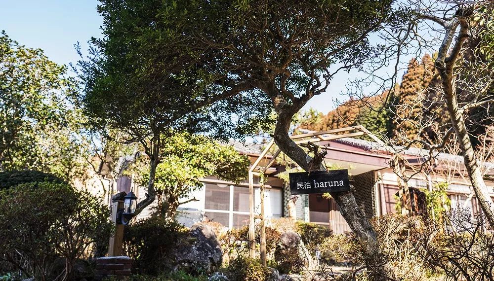 九州福冈樱花,九州樱花季旅游