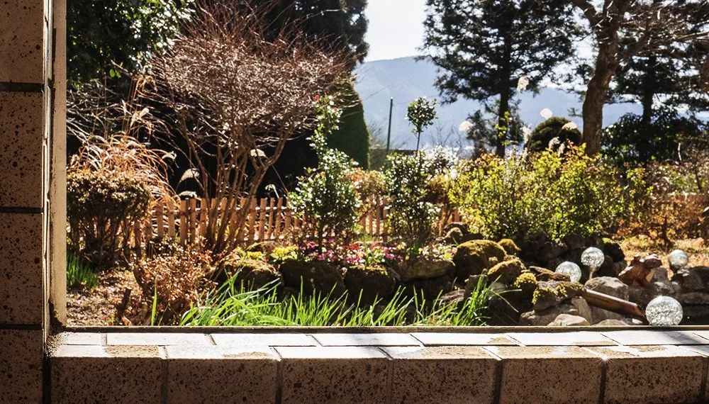 九州福冈樱花,九州樱花季旅游