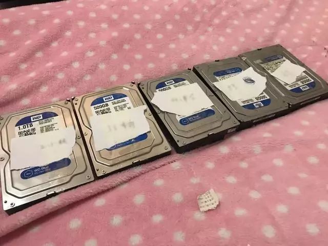 90后小夫妻成网络黑社会,90后小夫妻竟成网络黑社会