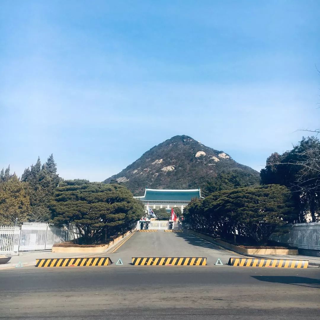 韩国旅游购物必买零食,韩国购物值得买的吃的