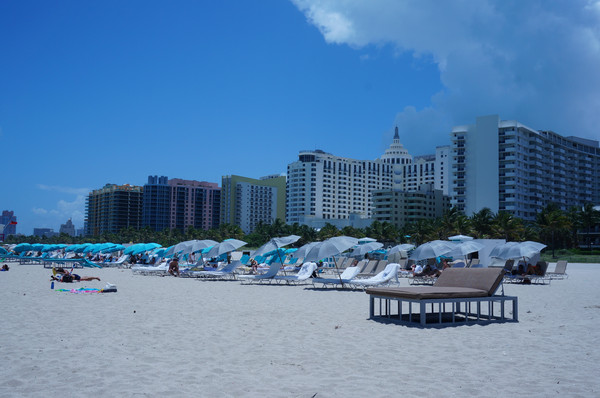 老人旅行欧洲,12位老人游上海