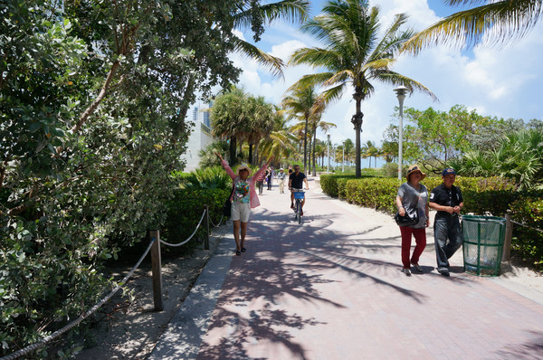 老人旅行欧洲,12位老人游上海