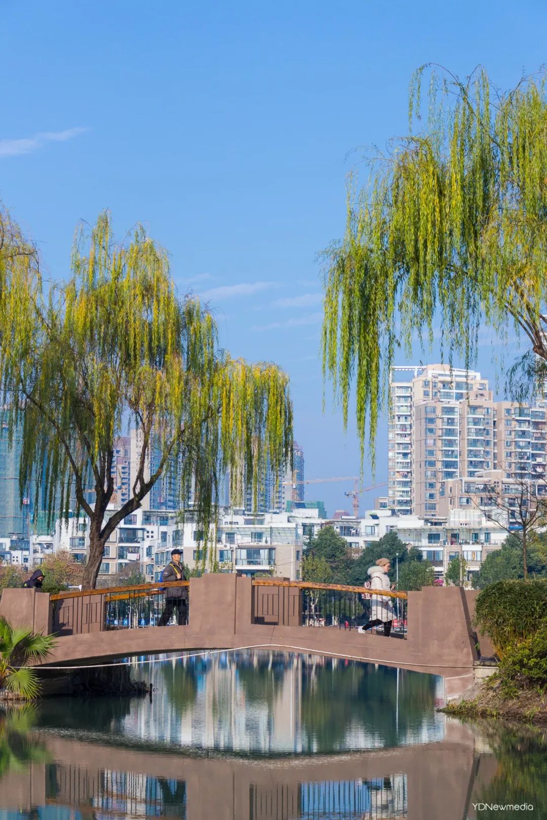 都说，出常青花园等于出了个国……