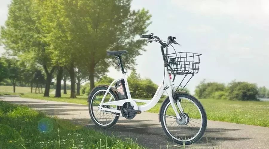 捷安特电动车老国标型号,捷安特电动车2023新款新国标