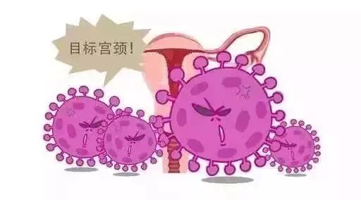 关于女性健康的讲座,关于女性的健康讲座