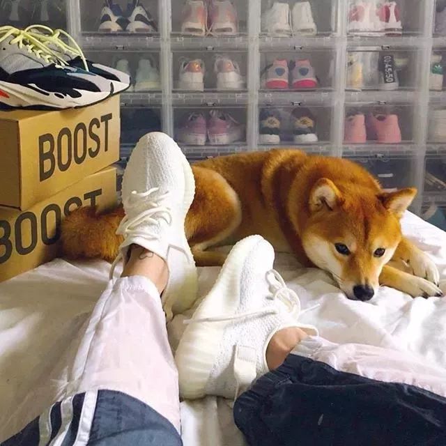 拥有AJ、Yeezy、锡纸烫、大波浪，你进“渣”圈了吗？