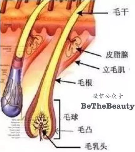 想为颜值偷偷加分？但只有10%的人会机智地修饰这里诶！