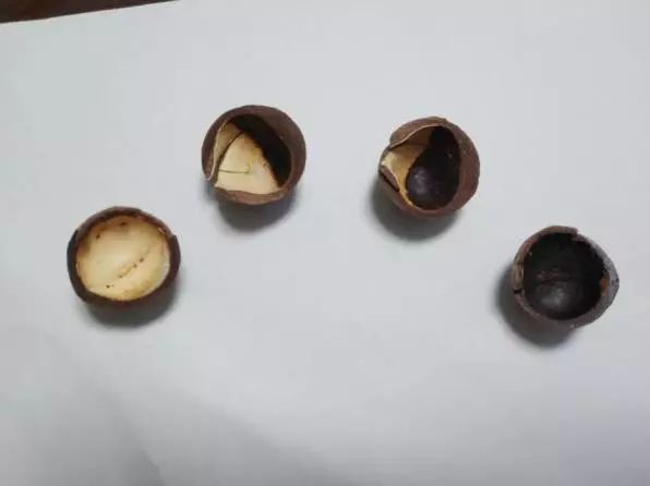 饭否精选｜那是我躲藏的地方