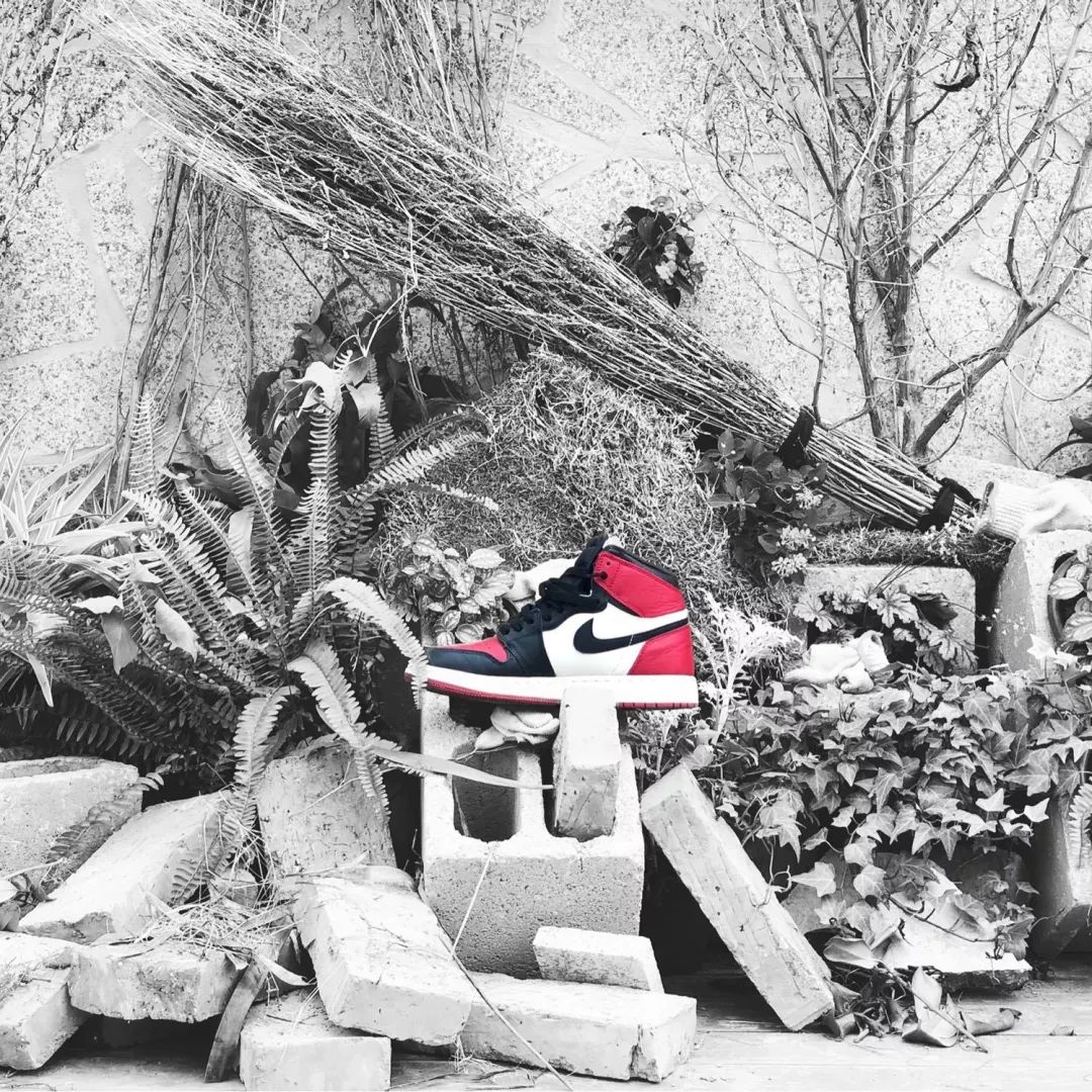 晒鞋丨Converse小花好评不断，dunk重回巅峰