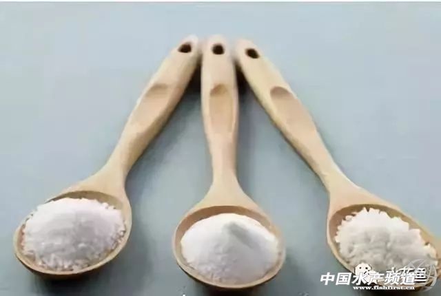 赤皮烂鳃病怎么治疗,细菌性烂鳃病用什么外用药