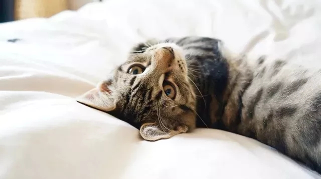 空港提示紧急撤离,空港代表什么意思