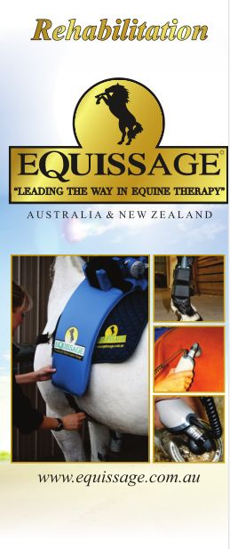 什么是马氏疗法,马氏康复法