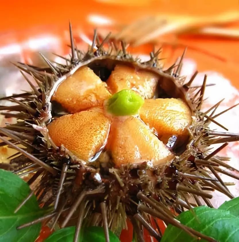 定了！石家庄将首开至珠海、嘉兴方向高铁，一路都是好风景