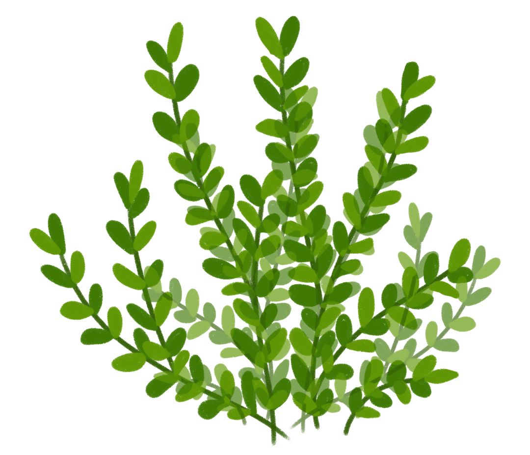 西检播报高清视频,西检动态图