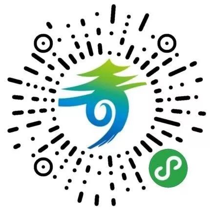 群龙聚首贺新春,青秀区国际传统舞龙邀请赛