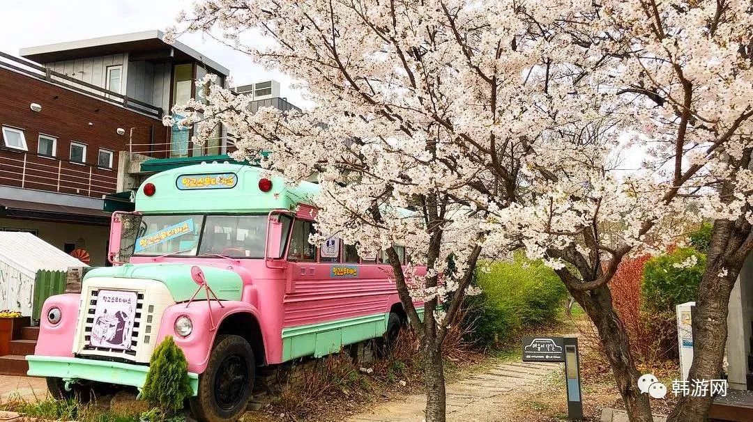 济州岛最美民宿,济州岛超美民宿