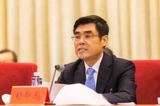 全国政协委员、华能集团舒印彪：能源转型不可逆转，华能一定要迎头赶上