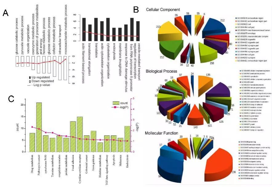 怎么把文献里的图表弄出来编辑,看文献有看不懂的图表怎么办