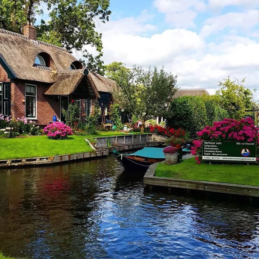 女神节花海一日游,女神节桃源一日游活动