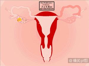 不该来大姨妈时流血很多,女生没有来大姨妈流血需不需要治