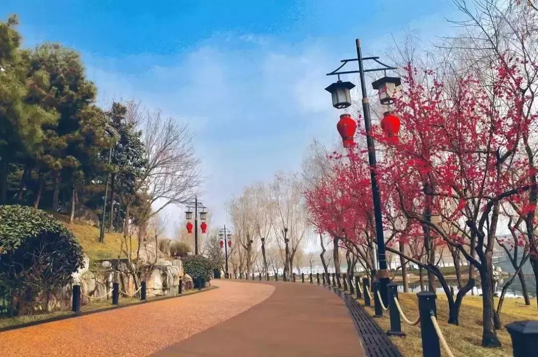 旅游微刊|西安的春天是粉色的！