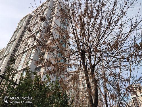 魅族note9上手小评,魅族note9配置传闻