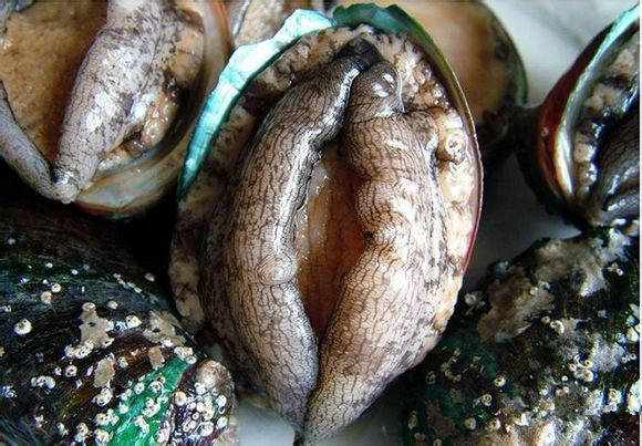 日照有什么好玩的地方,日照金山