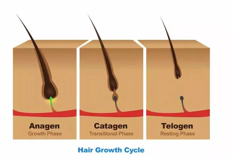 让我在你的肌肤上滑行，抚平每一个毛孔