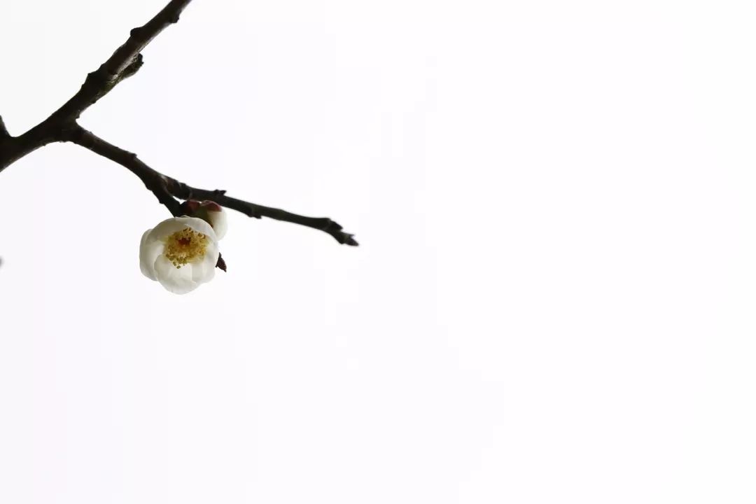 腾讯、联通、新东方都准备来华师“抢人”,本周就业讲座通知汇总,赶紧安排一下!