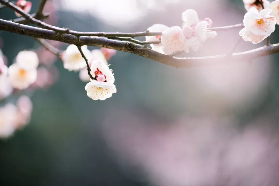 腾讯、联通、新东方都准备来华师“抢人”,本周就业讲座通知汇总,赶紧安排一下!