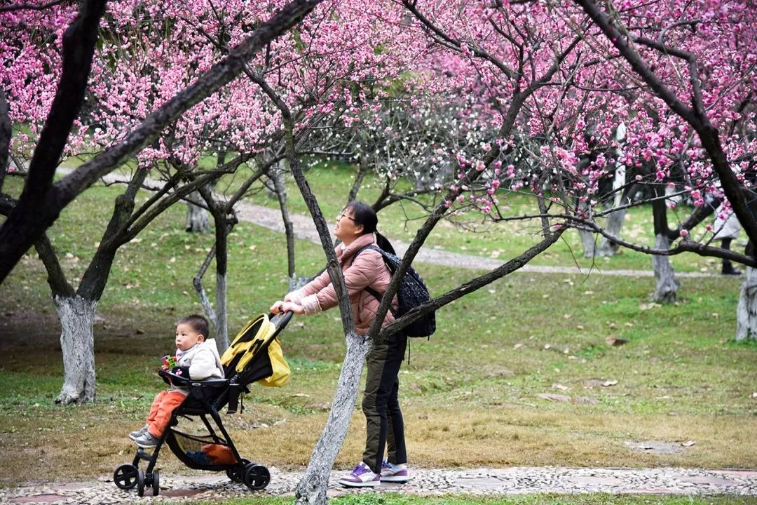 腾讯、联通、新东方都准备来华师“抢人”，本周就业讲座通知汇总，赶紧安排一下！