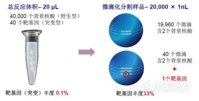 一文快速入门graphql,数字pcr原理图解