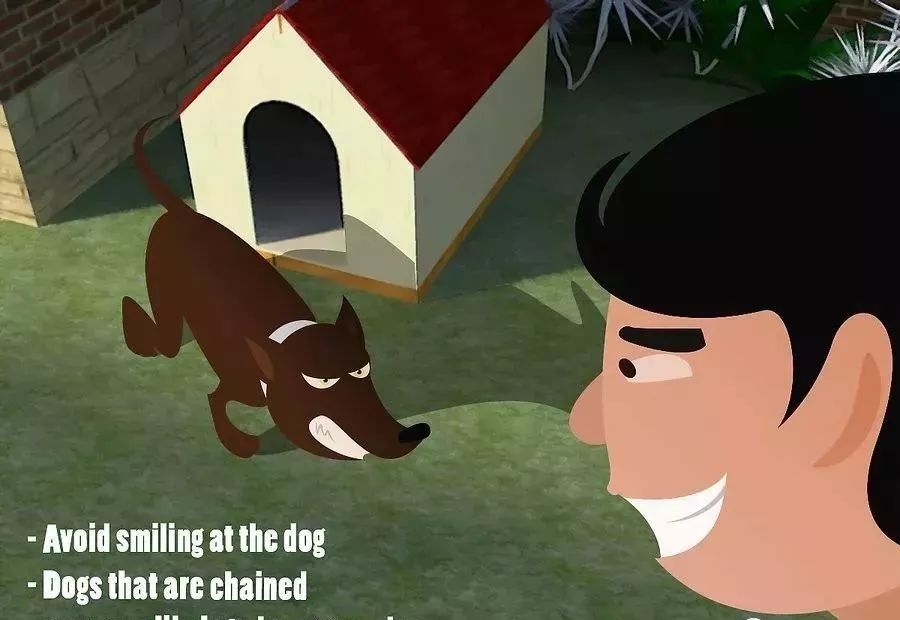 在外遇到恶犬攻击怎么办,如果被恶犬攻击怎么办