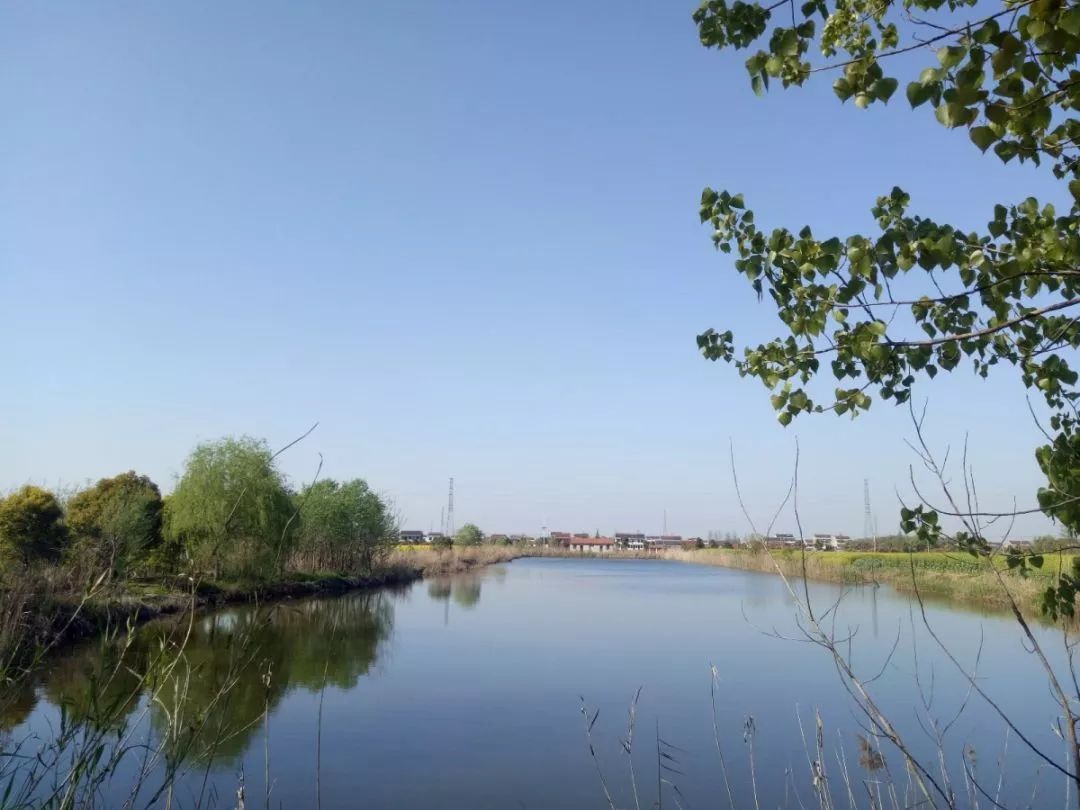 2021年村书记谈村发展,村书记打造美丽乡村采访