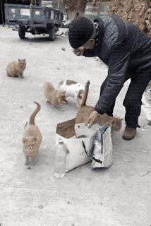 监控拍下令人惊恐的视频,监控拍下医院惊恐一幕