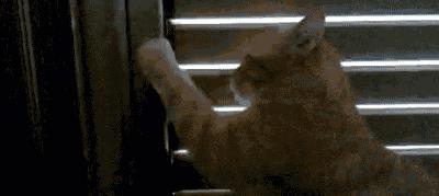 百叶窗老想和你作对,百叶窗让你放不下来怎么回事