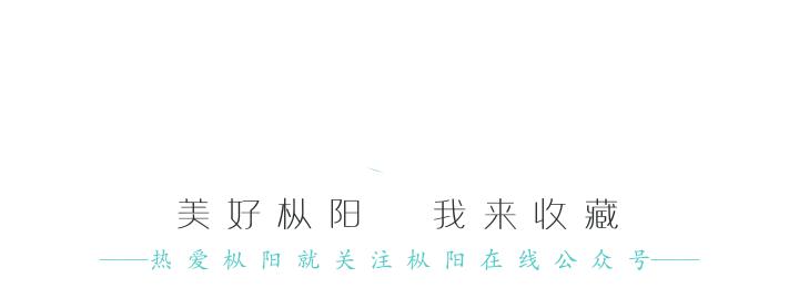 枞阳县改厕,外媒眼中的枞阳