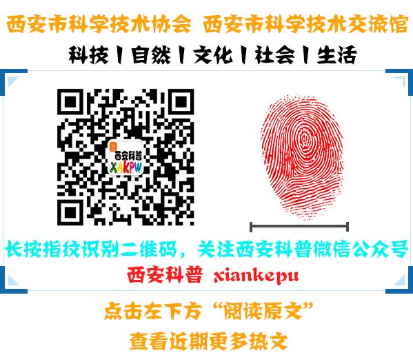 三文鱼养殖和野生哪种好吃,人工养殖三文鱼有几斤重