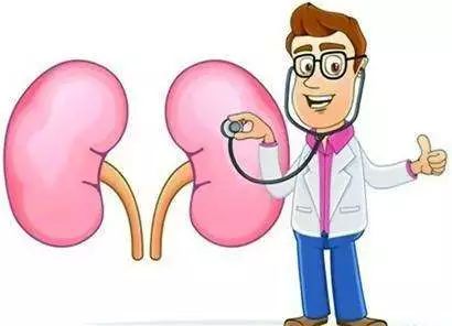 尿液泡泡多又不散怎么回事,尿液气泡多但尿蛋白不高