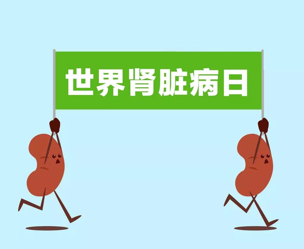 尿液泡泡多又不散怎么回事,尿液气泡多但尿蛋白不高