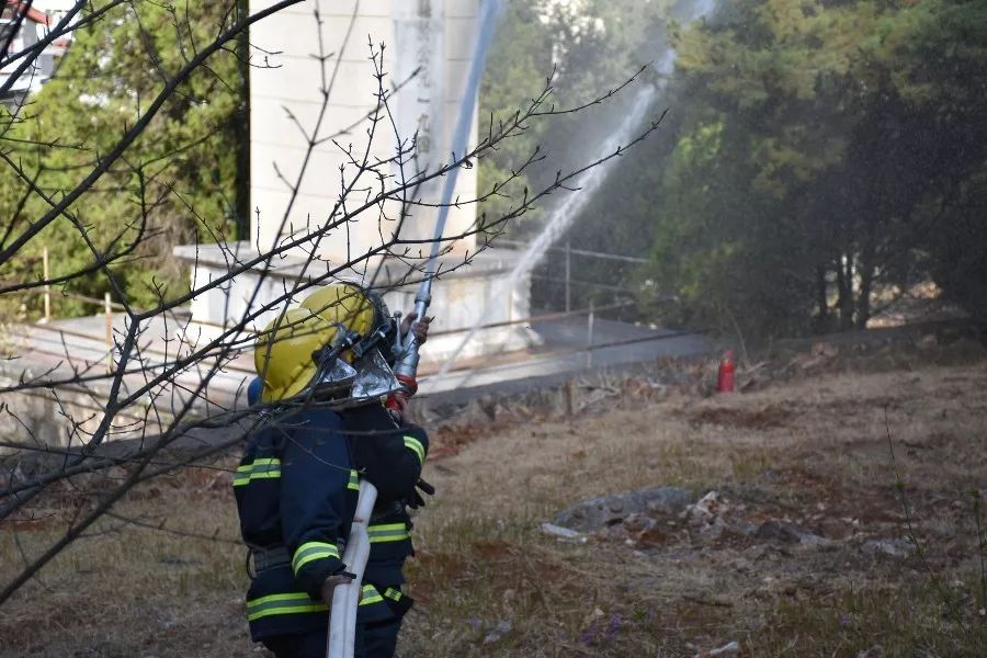 狮子山火灾最新,狮子山隧道大火