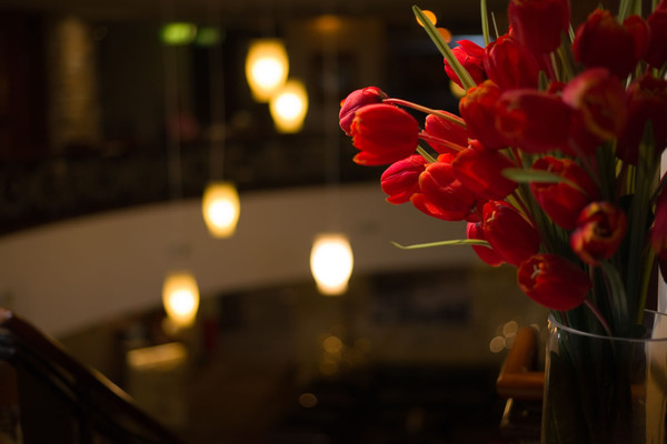 美食撩拨味蕾+No.1巧克力cafe，爱在悉尼约会优选地