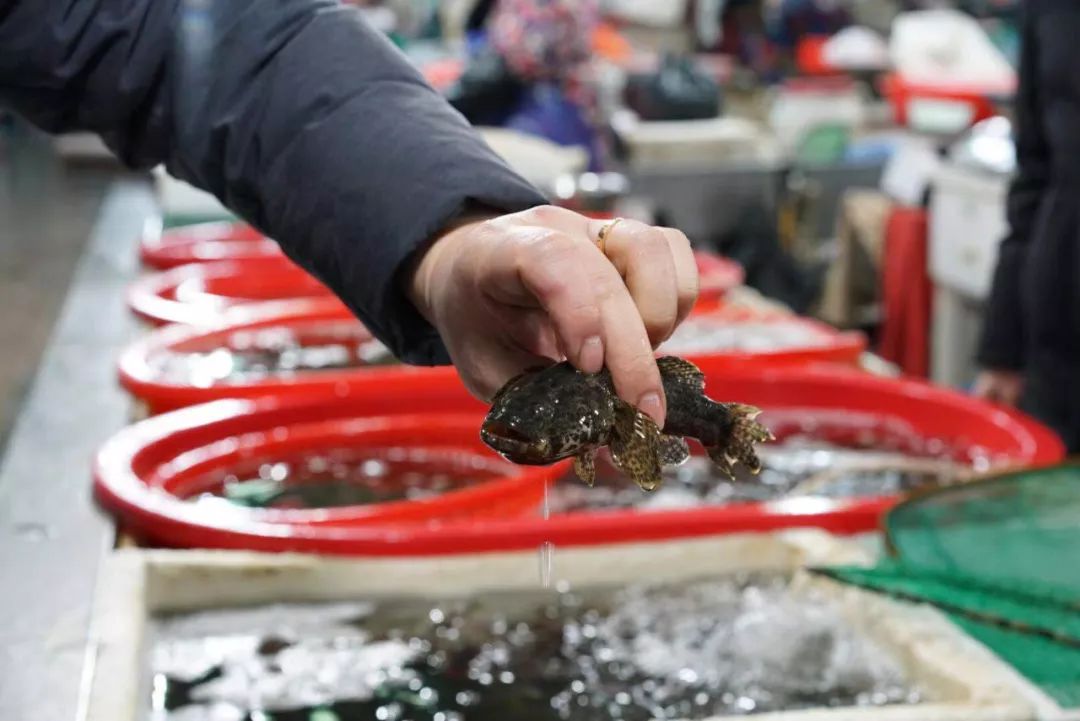 一向以“好吃”出名的凯悦,这次带我把人间三月的春天都吃进了嘴里