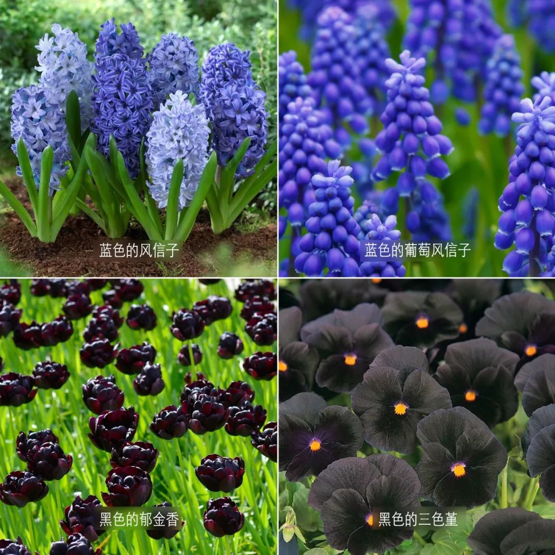 三个方法看透所有谎言,三个方法辨别谎言